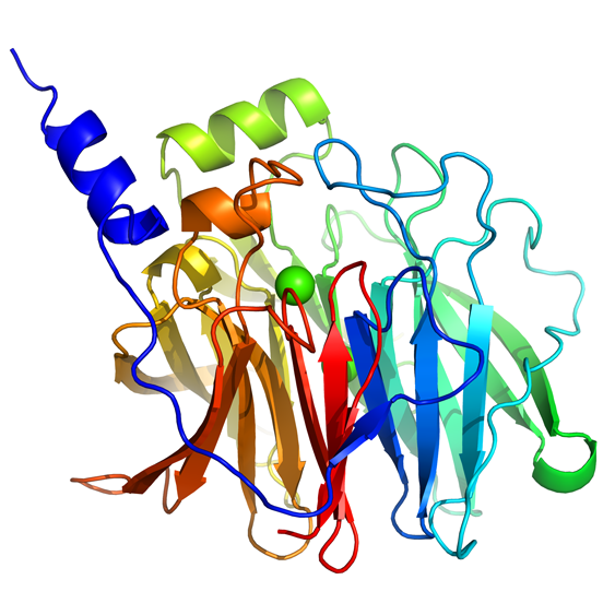 Engineered Enzyme Protects against Nerve Gas